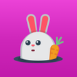 Programikonen: BunnyLive  Live  PK Shows