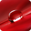 أيقونة البرنامج: Red Wallpaper