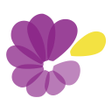 Ícone do programa: wadaCrush