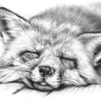 Icon of program: Realistic animal drawing