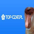 Icon of program: Top-Czat.pl - Forum, Czat…