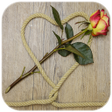 Mensagem Para as Mães icon