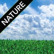 Ícone do programa: Nature Sounds FREE