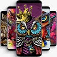 プログラムのアイコン：Owl Wallpapers