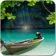 Sunshine Nature Leaf Wallpaper icon