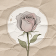 Programın simgesi: VividHue Wallpaper:Aesthe…