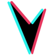 程序图标：Massive TikTok Downloader