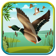 Icon of program: Duck Hunting 3D