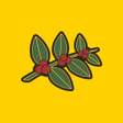Icon of program: Heine Bros Coffee