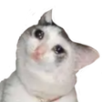 ไอคอนของโปรแกรม: Stickers Memes WASticker