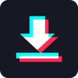 程序图标：SaveTik