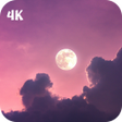 程序图标：Aesthetic 4K Wallpaper