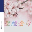 程序图标：圣经金句日历