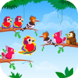Ikon program: Bird Sort - Color Sort Pu…