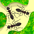 Иконка программы: Ant Farm Simulator