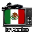 Mexico Television-Radio