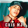 程序图标:Cris MJ Musica