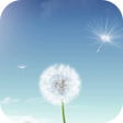 Icon of program: Dandelion Video Live Wall…