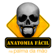 Programın simgesi: Anatomia Fácil na Palma d…