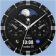 WFP 309 Classic watch face