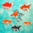 أيقونة البرنامج: Goldfish Aquarium - Japan…
