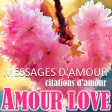 French Love messages  quotes
