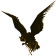 Ícone do programa: Hawkscope