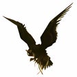 Icon of program: Hawkscope