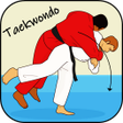 程序图标：How to learn taekwondo ki…