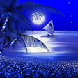 Icon of program: Night Beach Live Wallpape…