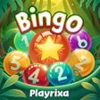 Programikonen: Bingo Playrixa