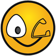 程序图标：Paediatric emergencydosec…