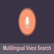 프로그램 아이콘: Multilingual Voice Search