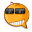 ไอคอนของโปรแกรม: SAP Notes Viewer