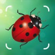 Ikon program: Insect Bug Spider Identif…