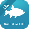 程序图标：Fish 2 LITE - Field Guide