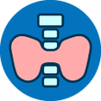 Programikonen: Thyroid Launcher - Rads