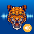 プログラムのアイコン：Animal  Bird Sounds