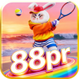 程序图标：88prFlashpoint Surge