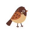 Ícone do programa: Name the bird Europe