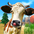 Иконка программы: Talking Bull
