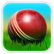 Icon of program: Cricket 3D