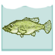 Ikon program: Blackbass Breeding (Aquar…