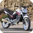 程序图标：Life Motos