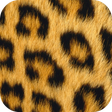 プログラムのアイコン：Animal Print Wallpapers