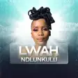 Lwah Ndlunkulu All Songs