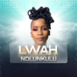 程序图标：Lwah Ndlunkulu All Songs