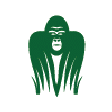 Symbol des Programms: Gorilla