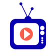 Programın simgesi: RTSP Camera Server Pro