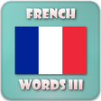 French vocabulary trainer icon